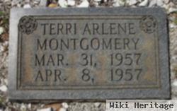 Terri Arlene Montgomery