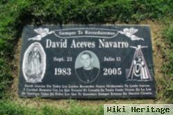 David Aceves Navarro