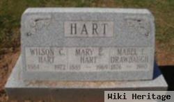 Mary E Hart