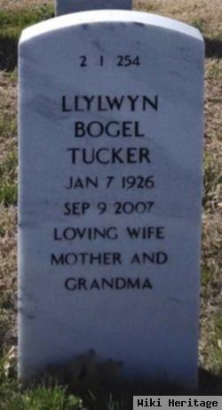 Llylwyn Elizabeth Bogel Tucker