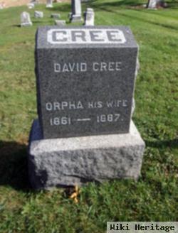 David Cree