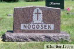 George Nogosek