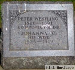 Johanna C Westling