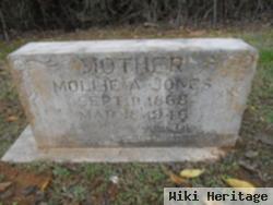 Mary Ann "mollie" Coffey Jones