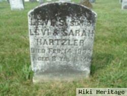 Levi S Hartzler