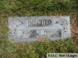 Frederick Charles Dilcher, Jr