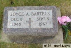 Joyce A. Knockel Bartels