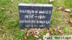 Harold W Mayes