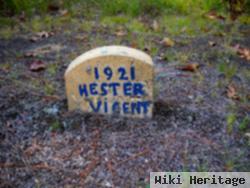 Hester Vicent