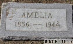 Amelia Stucky