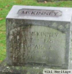 James W Mckinney