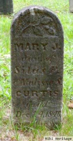 Mary J. Curtis