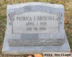 Patricia J Driscoll