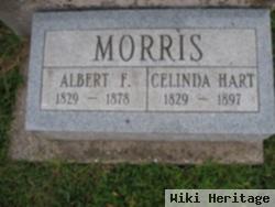 Celinda Ann Hart Morris