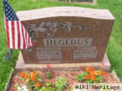 William Hegedus