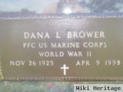 Dana Lee Brower