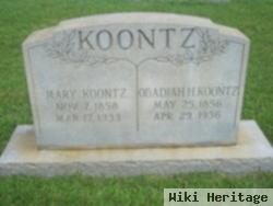 Obadiah Koontz