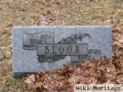 Nancy Jane Moore Bloor