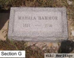 Mahala Hammer Williams