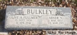 Abner Newman Bulkley