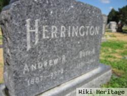 Andrew R Herrington