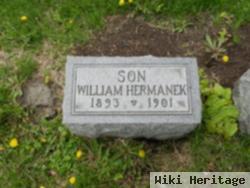 William "willie" Hermanek