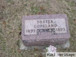 Foster Copeland