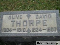 Rev David Thorpe, Jr