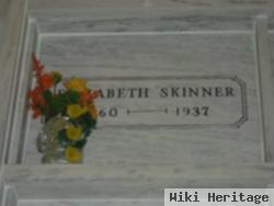 Elizabeth Anne Hengst Skinner