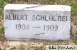 Albert Schloegel