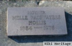 Nelle Passwaters Hollis