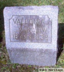 Vallonia Vanliew