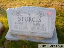 Mary Alice Leisey Sturgis