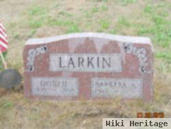 David H Larkin