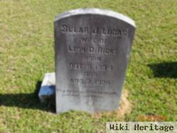 Sular J Lucas Ricks