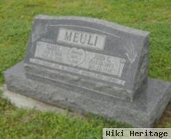 Ellen L. Herman Meuli