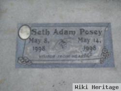 Seth Adam Posey