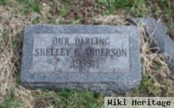 Shelley L. Anderson