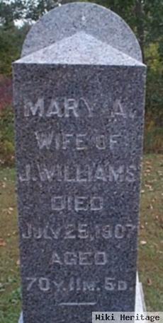 Mary Ann Renaker Williams