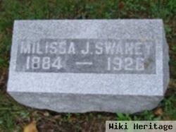 Milissa J Swaney