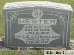 Jim Hester