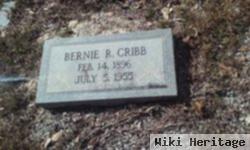 Bernie Cribb