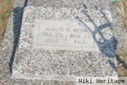 Mary Clara "mollie" Mickey Menk