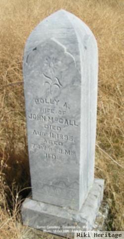 Polly Ann Maxwell Mccall