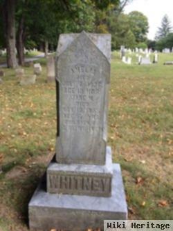 Amelia Whitney