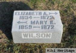 Elizabeth Wilson