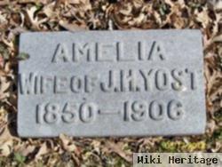 Amelia A. "mollie" Borck Yost