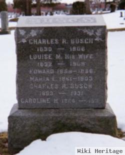 Charles R Busch