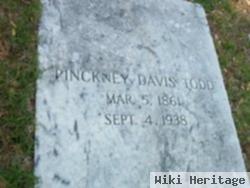 Pinckney D Todd