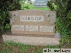 Andrew P Schuster, Jr